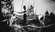 Meerlieu Victoria 1925 Two men stripping wattle bark Australia OLD PHOTO
