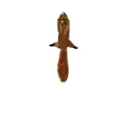 Skinneeez Plush Squirrel for Dog Toy - 25 in Mini Stuffing free Two squeakers