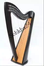 22 Strings Black Round Shape Harp with Levers,Extra Strings,Bag & Key