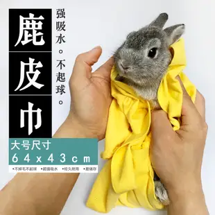 兔子洗澡毛巾寵物洗澡毛巾泰迪用品仿鹿皮大號毛巾貓浴巾超強吸水 (8.3折)