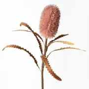 Artificial Australian Native Sawtooth Banksia Serrata Praemorsa Flower Stem -...