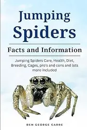 JUMPING SPIDER: Jumping spiders care, health, diet, breeding, cages, pro’s and cons and lots more included