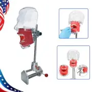 Simple Head Model Dental Simulator Phantom Manikin with Teeth for Dentist Teach