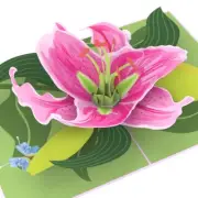 lovepop "Lily Bloom" 3D Pop Up Greeting Card Blank Notecard Pink/Green NEW NIP