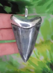 Great White Shark Tooth Pendant 925 STERLING SILVER fossil sharks teeth