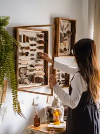 在飛比找樂天市場購物網優惠-畫框 相框 實木標本相框 立體昆蟲植物幹花diy墻面裝飾 貝