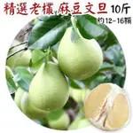 【愛蜜果】老欉麻豆文旦原裝箱(約12-16顆/10斤/箱/中秋禮盒)