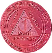 Bulk Lot of 25 Aluminum 1 Month AA Medallions Red 30 Day Sobriety Chips Serenity Prayer Back