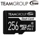 TEAM 十銓 256G 256GB Dash Card SDXC UHS-I C10 記憶卡 (4.6折)