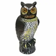 Whites Pest Control Bobble Head Owl