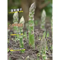 在飛比找蝦皮購物優惠-【四季播種蘆筍種子】耐寒耐熱蔬菜種子 四季種植 盆栽庭院 蔬