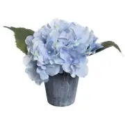 7" Blue Hydrangea in Paper Pot by Ashland®