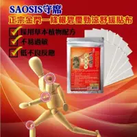 在飛比找蝦皮購物優惠-【SAOSIS】正宗金門一條根碧璽勁涼舒緩貼布 (10片裝)