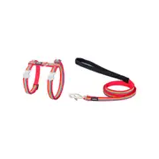 Dog Harness by Red Dingo Rainbow 2135 Cm by Red Multicolour