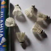 12pcs White Goose Feather Shuttlecocks Badminton Ball Sport Training Game Fans