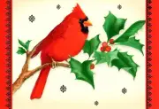 Merry Christmas Red Cardinal Holly Sprig Berry Berries Hallmark Cards - Set of 7
