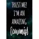 Trust Me! I’’m An Amazing Economist: The perfect gift for the professional in your life - Funny 119 page lined journal!