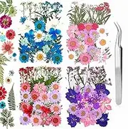 160 Pcs Dried Pressed Flowers for Resin, Real Pressed Flowers Dry Leaves Bulk Natural Herbs Kit for Scrapbooking DIY Art Crafts, Epoxy Resin Jewelry Molds, Candle, Soap Making, Nails Décor