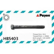 Payen Cylinder Head Bolt Set - HBS403
