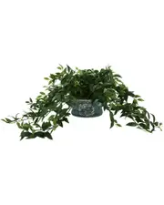 Creative Displays Ruscus Ivy in Decorative Pot