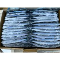 在飛比找蝦皮購物優惠-日本北海道當季5號秋刀魚10公斤裝特價600/箱#請勿直接下