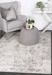 Appearance Visage Beige Grey Rug
