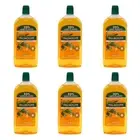 6x Palmolive 500ml White Tea Hand Wash Refill Anti Bacterial Liquid Skin Soap