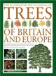 The Illustrated Encyclopedia of Trees of Britain and Europe ─ The Ultimate Reference Guide and Identifier to 550 of the Most Spectacular, Best-loved and Unusual Trees, With 1600 Specially Commissioned