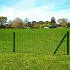 Euro Fence Garden Fence Mesh Barrier Patio Backyard Lawn Green Steel vidaXL