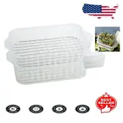 Compact Polished Steamer for Hot Plate - 1000W Portable Cooking Solution