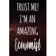 Trust Me! I’’m An Amazing Economist: The perfect gift for the professional in your life - Funny 119 page lined journal!