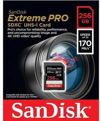 在飛比找Yahoo!奇摩拍賣優惠-SanDisk 256GB 256G Extreme PRO