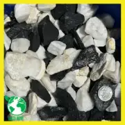 20 Lbs Black & White Stone Size 1" to 3", Rocks Gravel Pebble Aquarium Terrarium