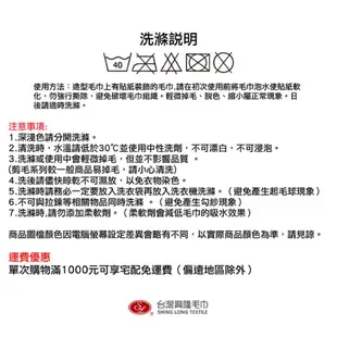 台灣興隆毛巾 小熊小冰棒 毛巾 造型毛巾 冰棒 手帕 手帕巾 洗臉巾 小毛巾 手巾 純棉毛巾 台灣製毛巾 台灣現貨