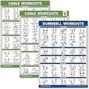 3 Pack - Cable Machine Workout Posters Volume 1 & 2 + Dumbbell Exercise Chart (LAMINATED, 18" x 24")