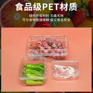 一次性水果盒塑料便當盒帶蓋裝草莓打包盒包裝盒子果蔬食品保鮮盒
