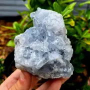 Celestite - Large Raw rough crystal healing natural metaphysical gemstone - pc#2