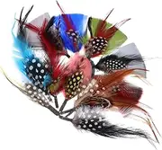 HOODANCOS Elegant Natural 12pcs DIY Plume Crafts Ideal for DIY Dream Catcher Fashion Accessories Home Decor