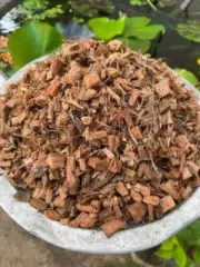 coconut husk chips husk fiber organic orchids anthurium growing compost media