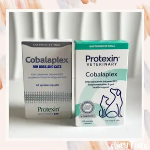 Protexin Cobalaplex 可萊適 貓狗 維生素B12 葉酸 益生素 60膠囊