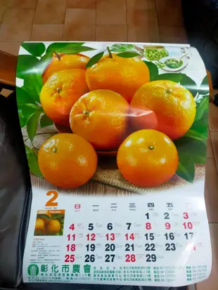 2024年台灣水果月曆