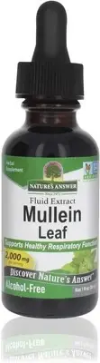 Nature's Answer Mullein Drops for Lungs, Alcohol-Free, 1 Ounce Mullein Leaf Extr