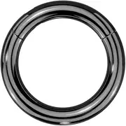 [Pierced Owl] 12GA-8GA Large Gauge F136 Implant Grade Titanium 10mm Diameter Hinged Segment Clicker Ring