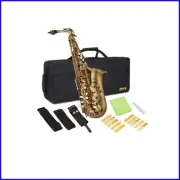 Exquisite Alto Saxophone E Flat Brass Kit - 10 Reeds, Strap & Cleaning Supplies