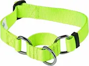 Blueberry Pet Essentials Martingale Safety Training Dog Collar, Highlighter Yellow, Medium, Heavy Duty Nylon Adjustable Collars for Dogs