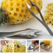 Pineapple Eye Remover Fruit Corer Peeler Tools Kitchen Clip Cutter Slicer