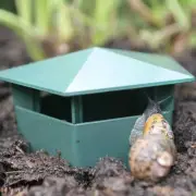 Snail Cage Slug Leech Catcher Trap Pest Snail Trapper No Harm Hot