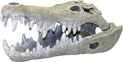 Nile Crocodile Skull Aquarium Ornament Small Null