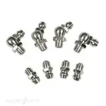 Toledo Grease Nipple Assortment - 305212