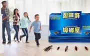 10 x Cockroach Trap Bait Sticky Traps Cockroaches Insect Bug Pest Control Cheap